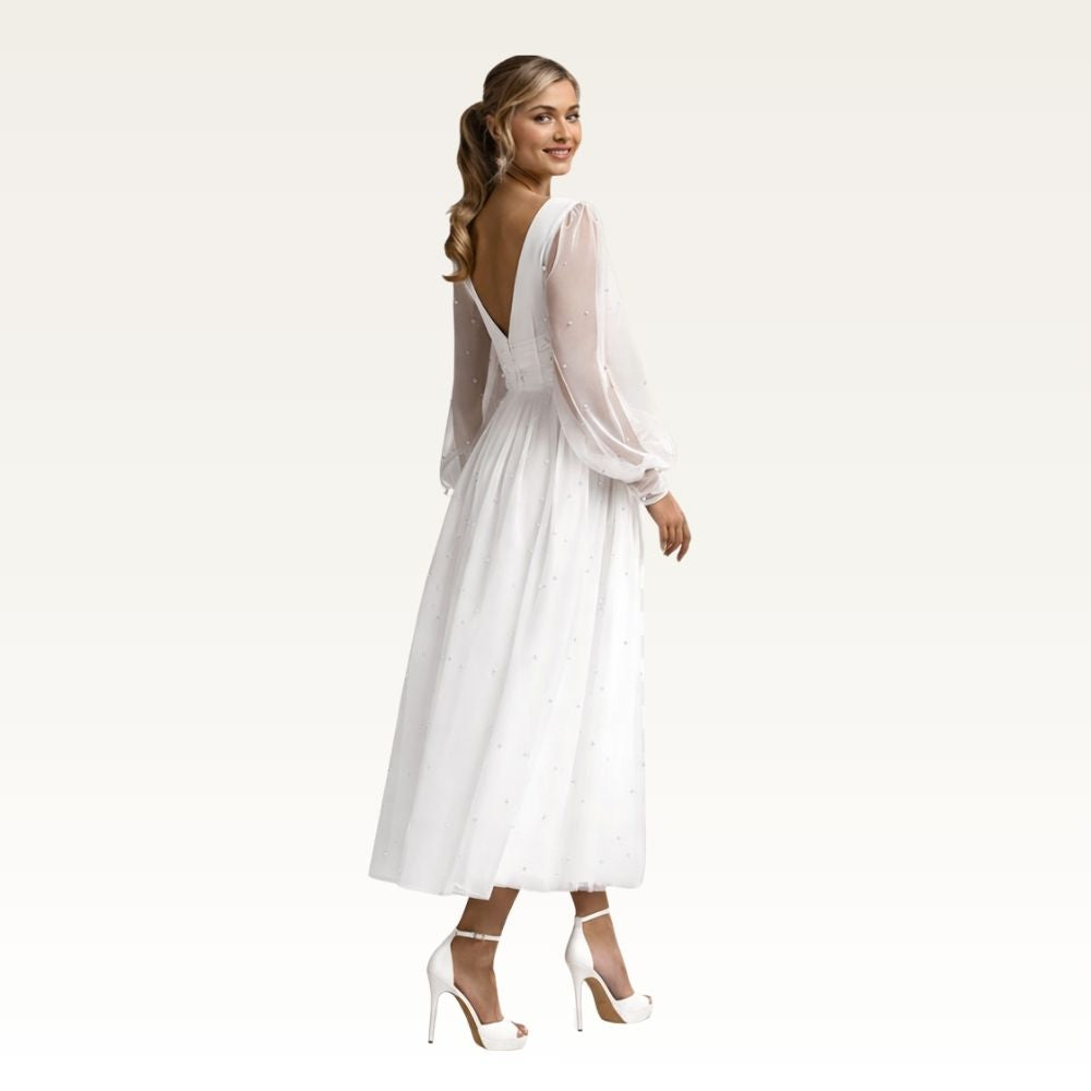Sheer Sleeve Midi Tulle Dress Back