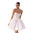 Strapless Lace Corset Mini Dress