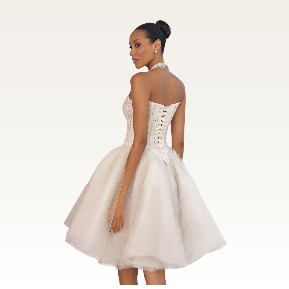 Strapless Lace Corset Mini Dress Back